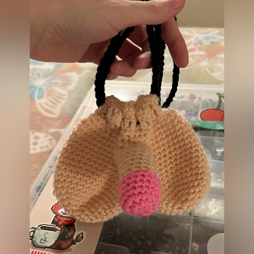 Crocheted 🐓 & Ball Bag ✨